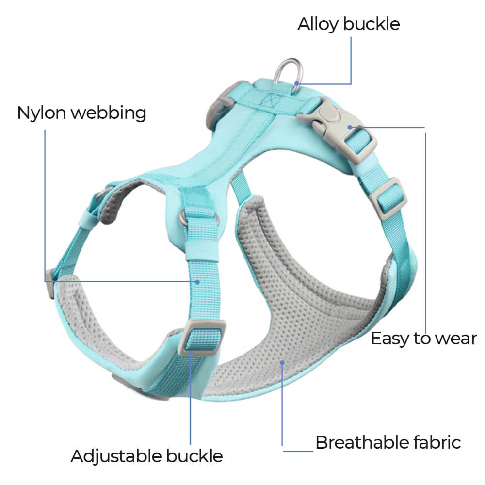 Complete Control Comfortable No-Pull Dog Harness and Lead