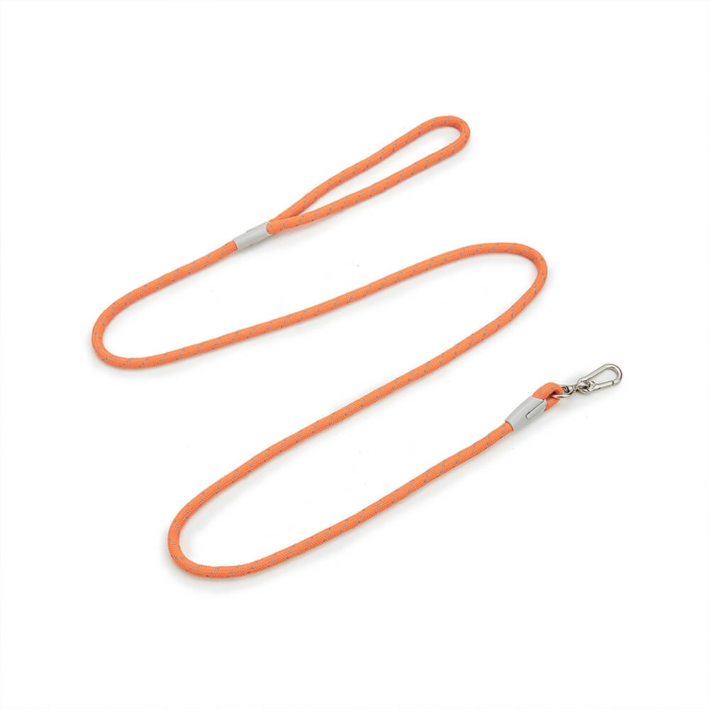 Complete Control Comfortable No-Pull Dog Harness and Lead