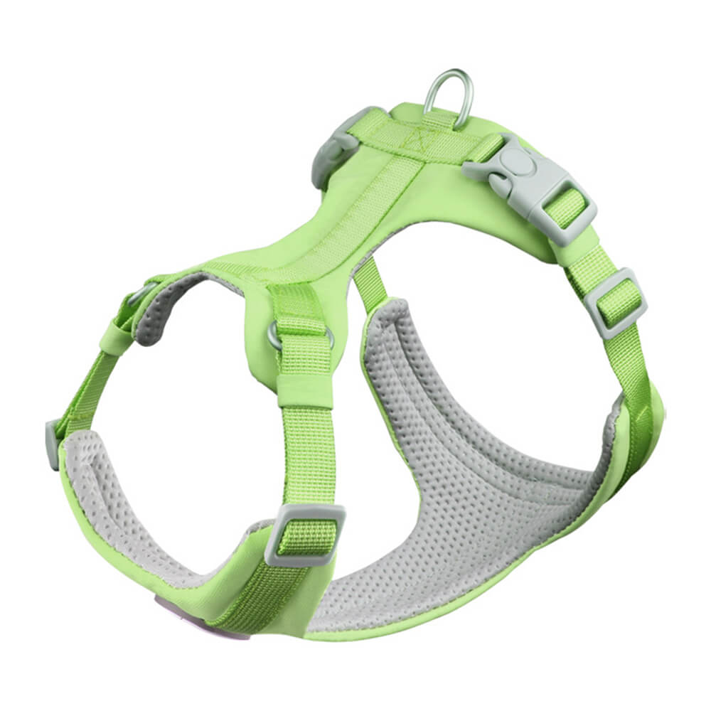 Complete Control Comfortable No-Pull Dog Harness and Lead