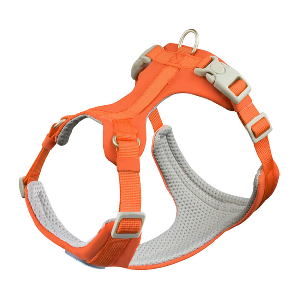 Complete Control Comfortable No-Pull Dog Harness and Lead