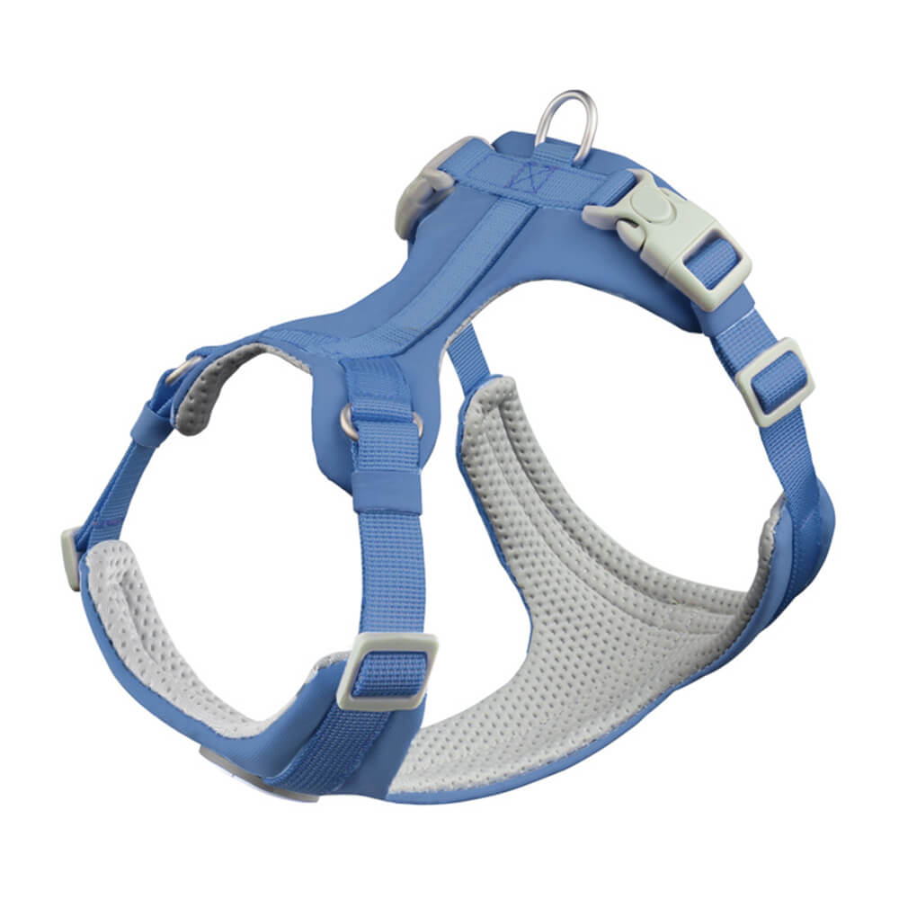 Complete Control Comfortable No-Pull Dog Harness and Lead