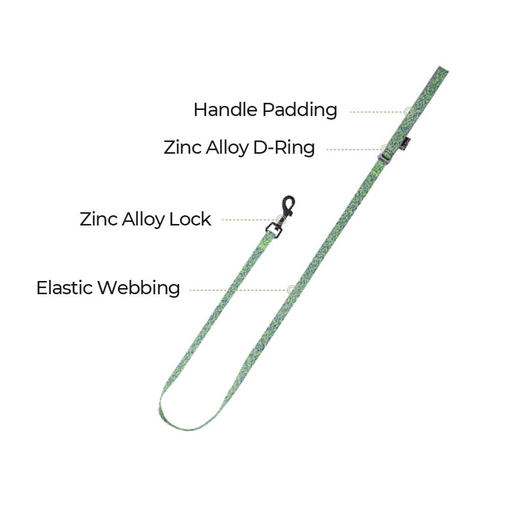 Eco-friendly Recycled Fabric No-Pull Dog Harness/Lead