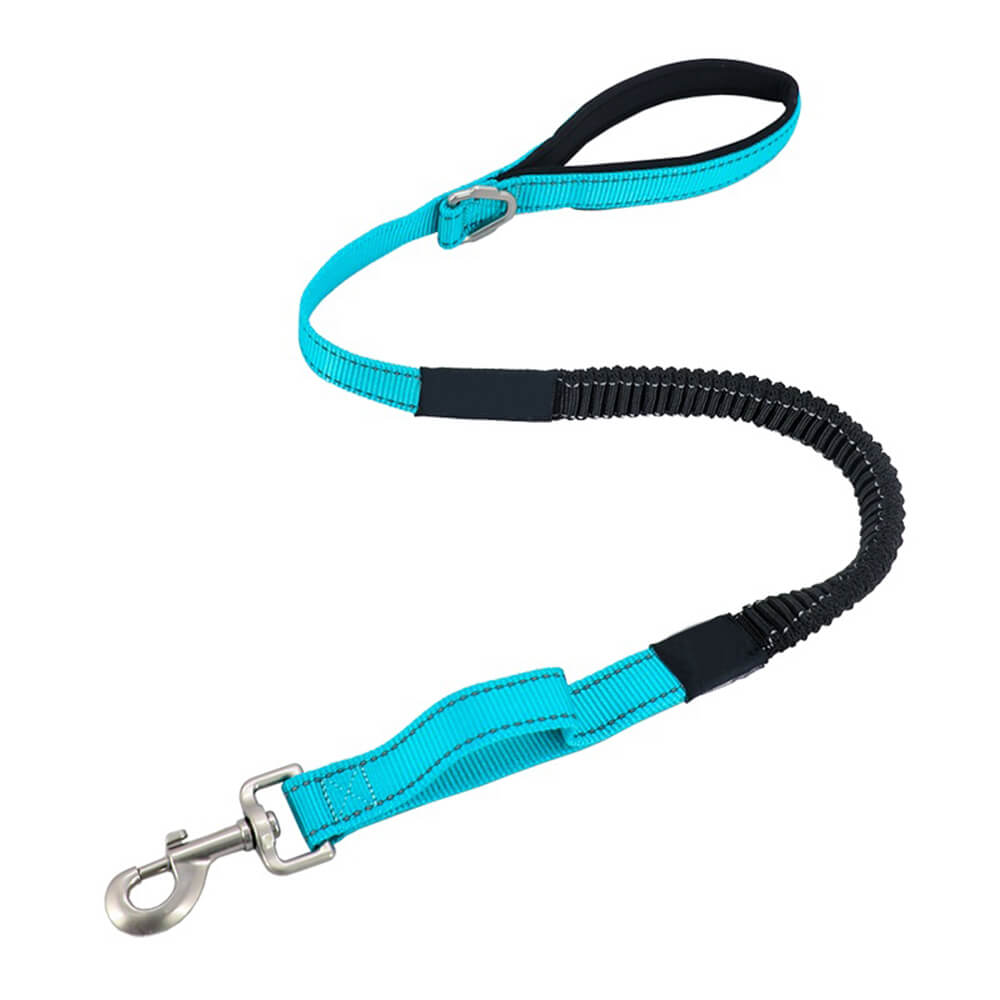 Multifunctional Reflective Anti-Pull Dog Collar and Lead