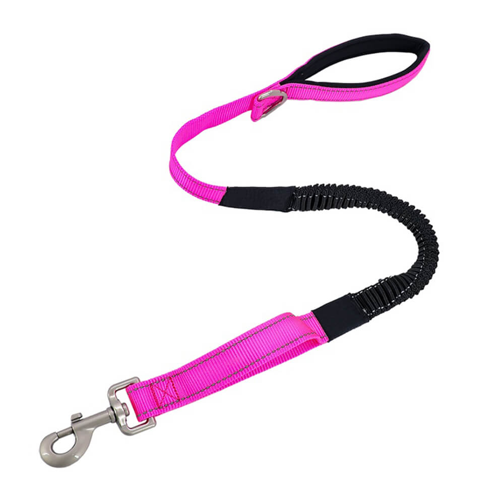 Multifunctional Reflective Anti-Pull Dog Collar and Lead