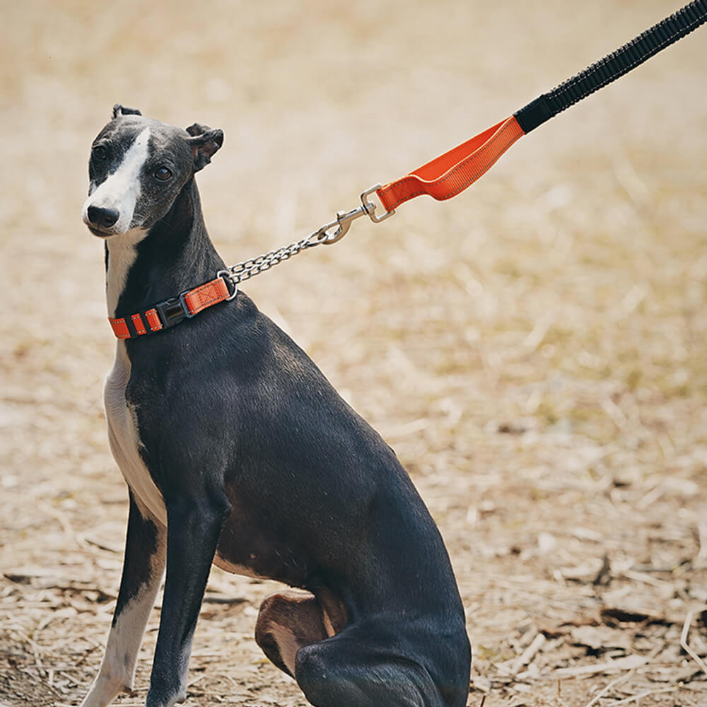 Multifunctional Reflective Anti-Pull Dog Collar and Lead