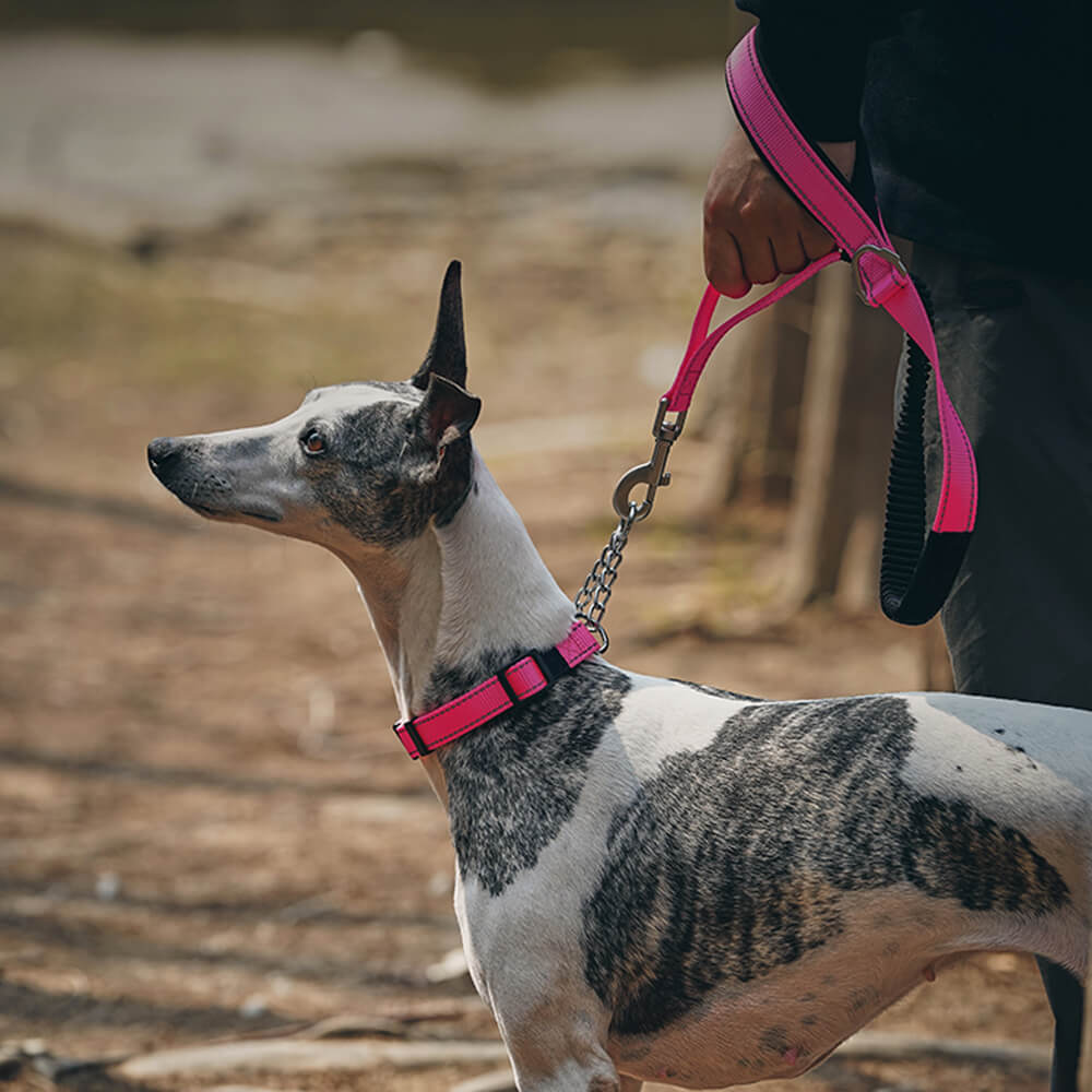 Multifunctional Reflective Anti-Pull Dog Collar and Lead