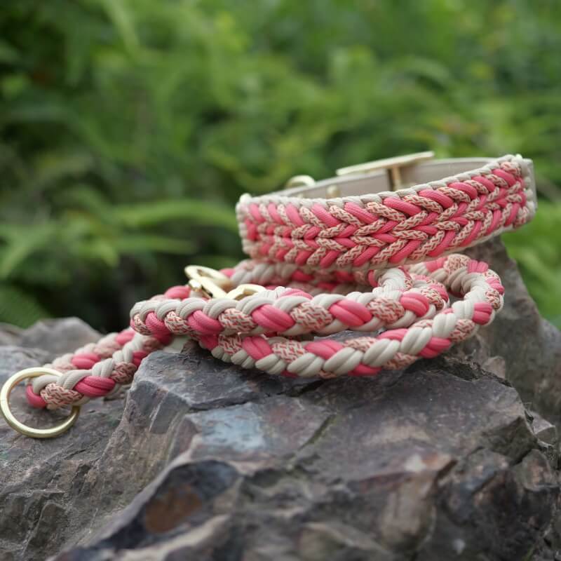 Hand-Woven Leather Multifunctional Anti-Pull Dog Collar and Lead Set