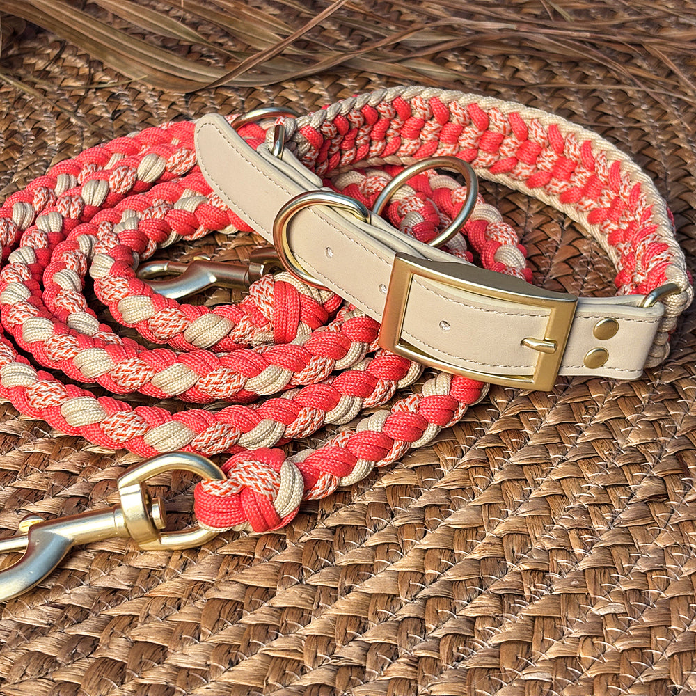 Hand-Woven Leather Multifunctional Anti-Pull Dog Collar and Lead Set
