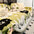 Ice Cream Wavy Chenille Scratch-Resistant Sofa Throw Blanket Sofa Cover Settee Cover