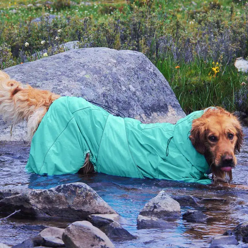 Large Dog Outdoor Jacket Waterproof Adjustable Dog Rain Coat