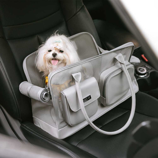 Lightweight Breathable Mesh Safe Pet Carrier - Urban Ease