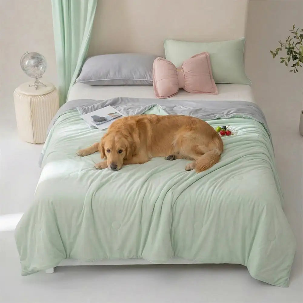 Lightweight Double-Sided Solid Color Cooling Ice Silk Cold Effect Blanket