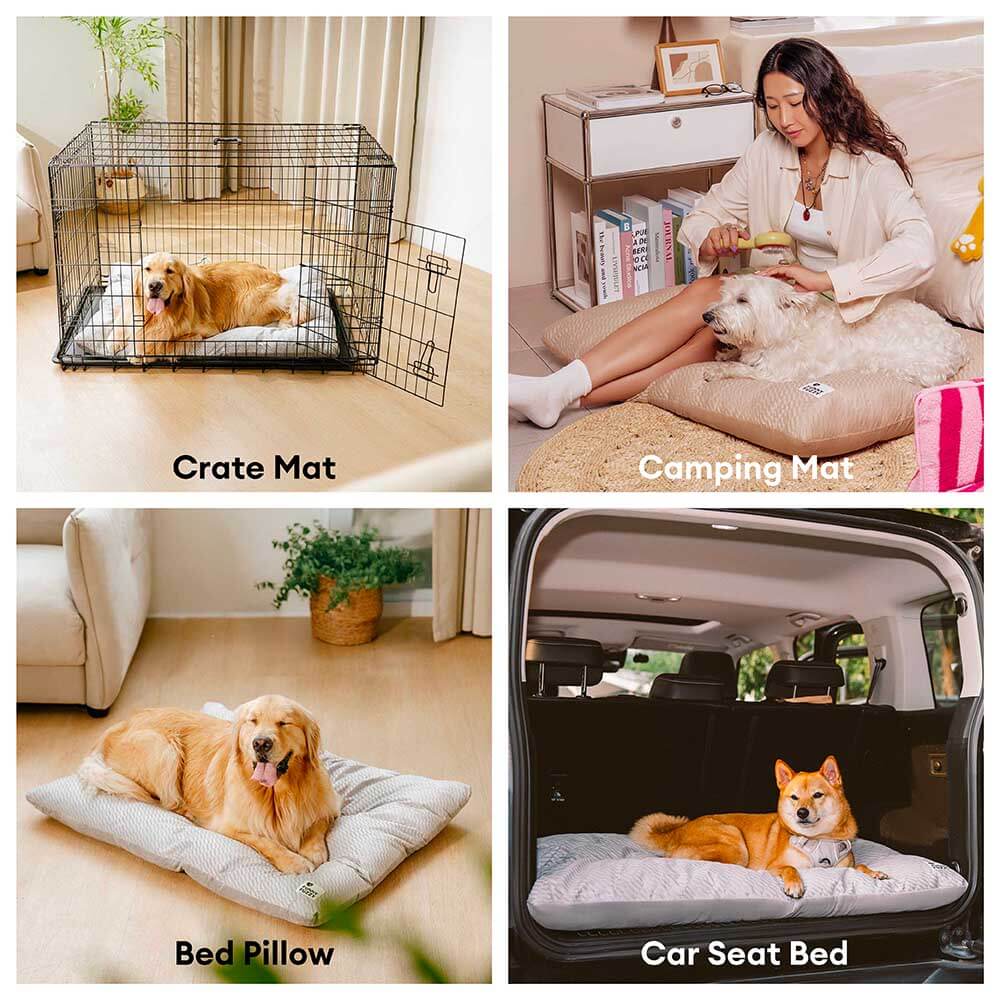 Dual-Sided Cosy Plush Washable Calming Dog Mat