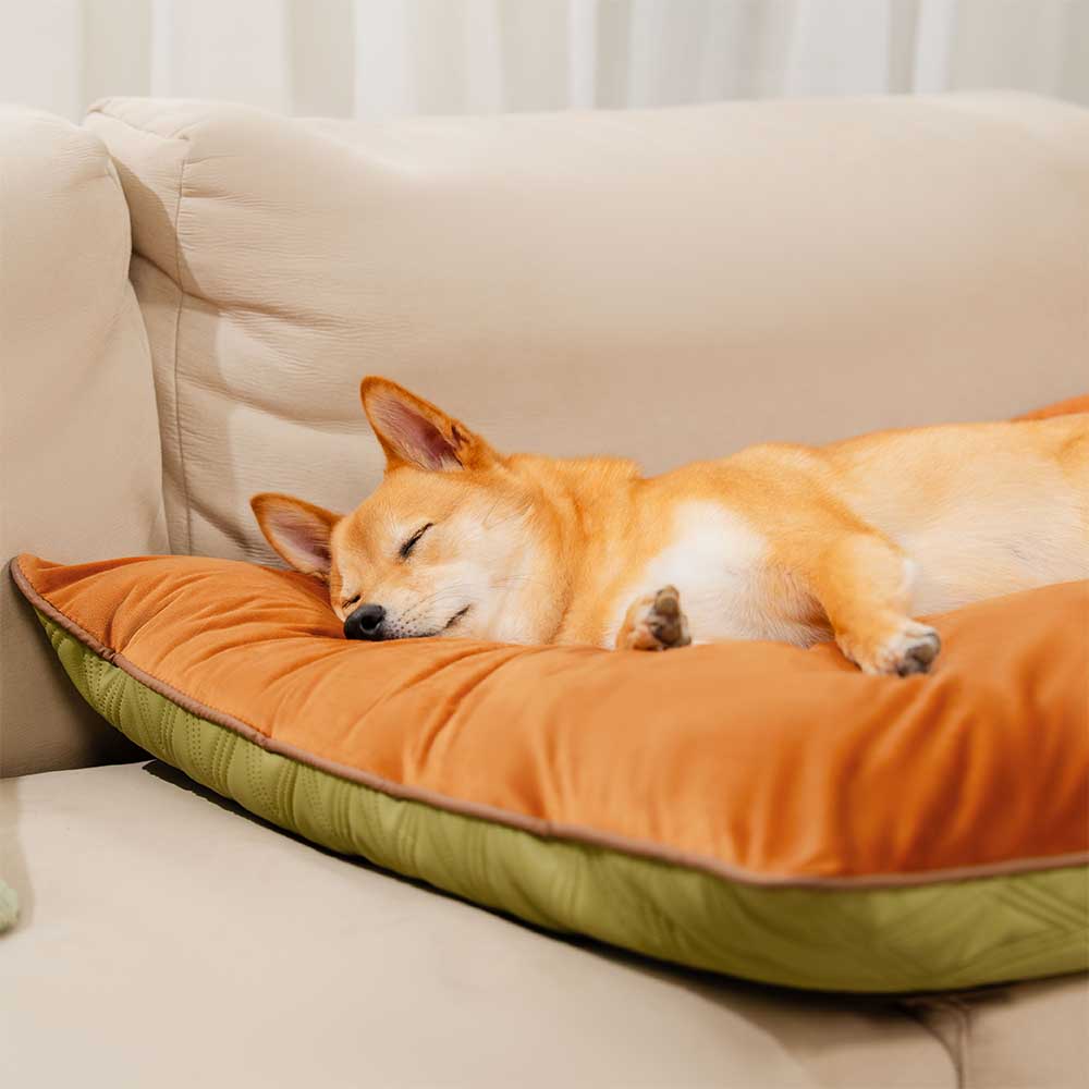 Luxury Water-repellent Dual-Sided Calming Dog Mat