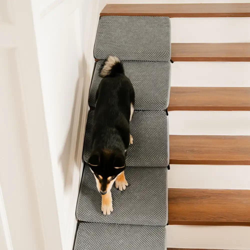 Modular Foam Dog Ramp Steps for Staircase Stairs with Velcro