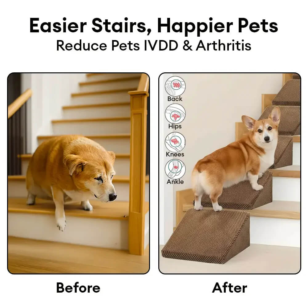 Modular Foam Dog Ramp Steps for Staircase Stairs with Velcro