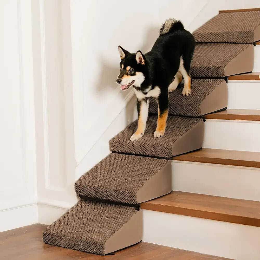 Modular Foam Dog Ramp Steps for Staircase Stairs with Velcro