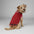 Perfect for Fall Winter Plaid Collar Cable Knit Dog Jumper Dog Clothes