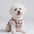 Plaid Fleece Pullover Dog Jacket - A Warm and Stylish Winter Jacket Dog Jumper