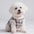 Plaid Fleece Pullover Dog Jacket - A Warm and Stylish Winter Jacket Dog Jumper
