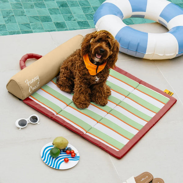 Portable Cooling Cat & Dog Mat - Chill Nest
