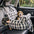 Portable ISOFIX Dog Car Seat Bed