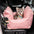ISOFIX Dog Car Seat Bed with ISOFIX System - First Class