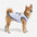 Sporty Style Breathable Dog Vest for Puppy Dog Clothes