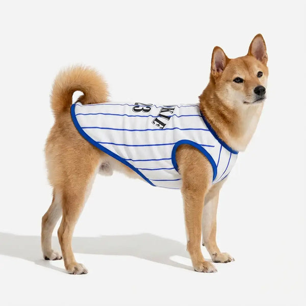 Sporty Style Breathable Dog Vest for Puppy Dog Clothes
