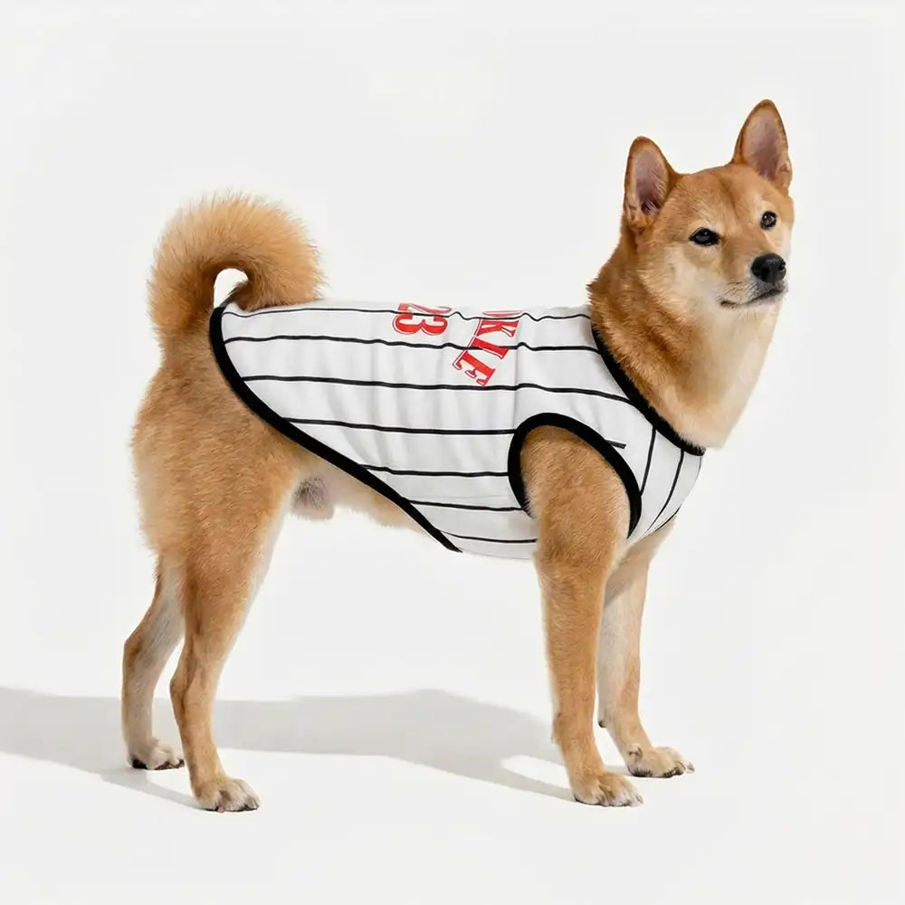 Sporty Style Breathable Dog Vest for Puppy Dog Clothes