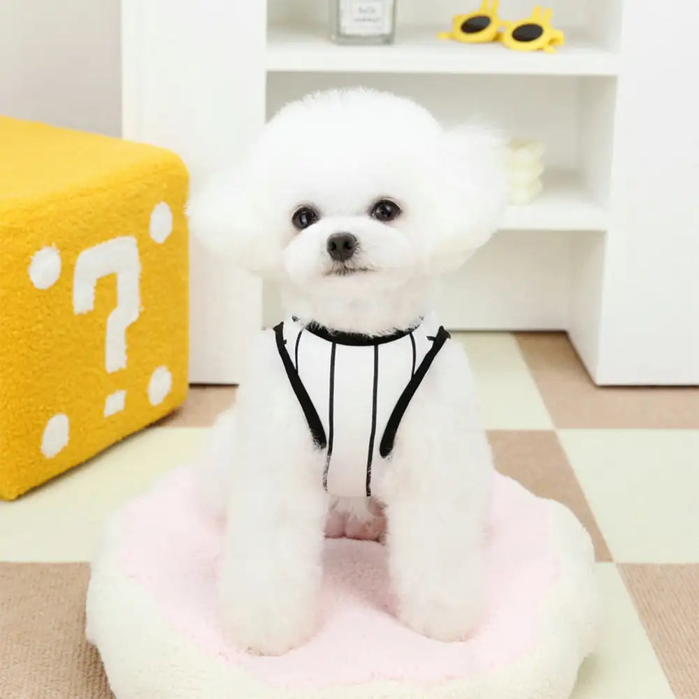 Sporty Style Breathable Dog Vest for Puppy Dog Clothes