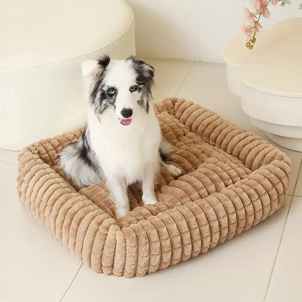Square Striped Short Plush Fluffy Dog Bed for Small to Large Dogs’ Deep Rest