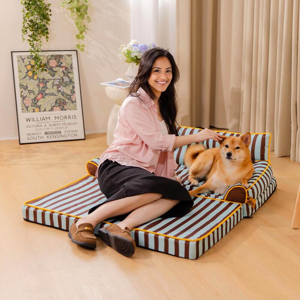 Trendy Striped Water-repellent Foldable Dog Sofa Bed - Sunny Siesta