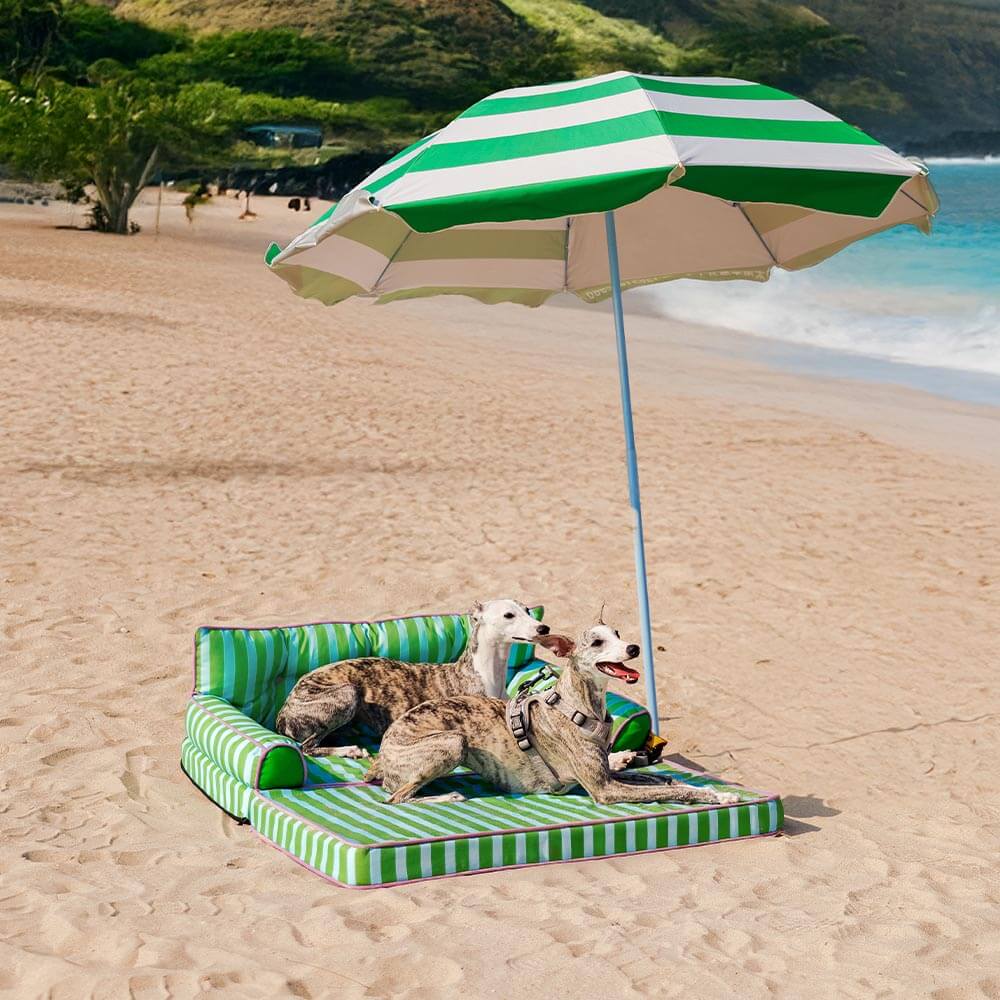 Trendy Striped Water-repellent Foldable Dog Sofa Bed - Sunny Siesta
