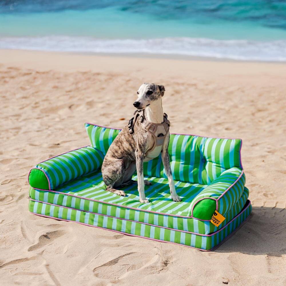 Trendy Striped Water-repellent Foldable Dog Sofa Bed - Sunny Siesta
