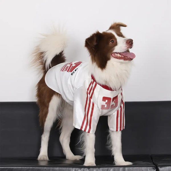 Striped Retro Reflective Dog T-Shirt for All Breeds