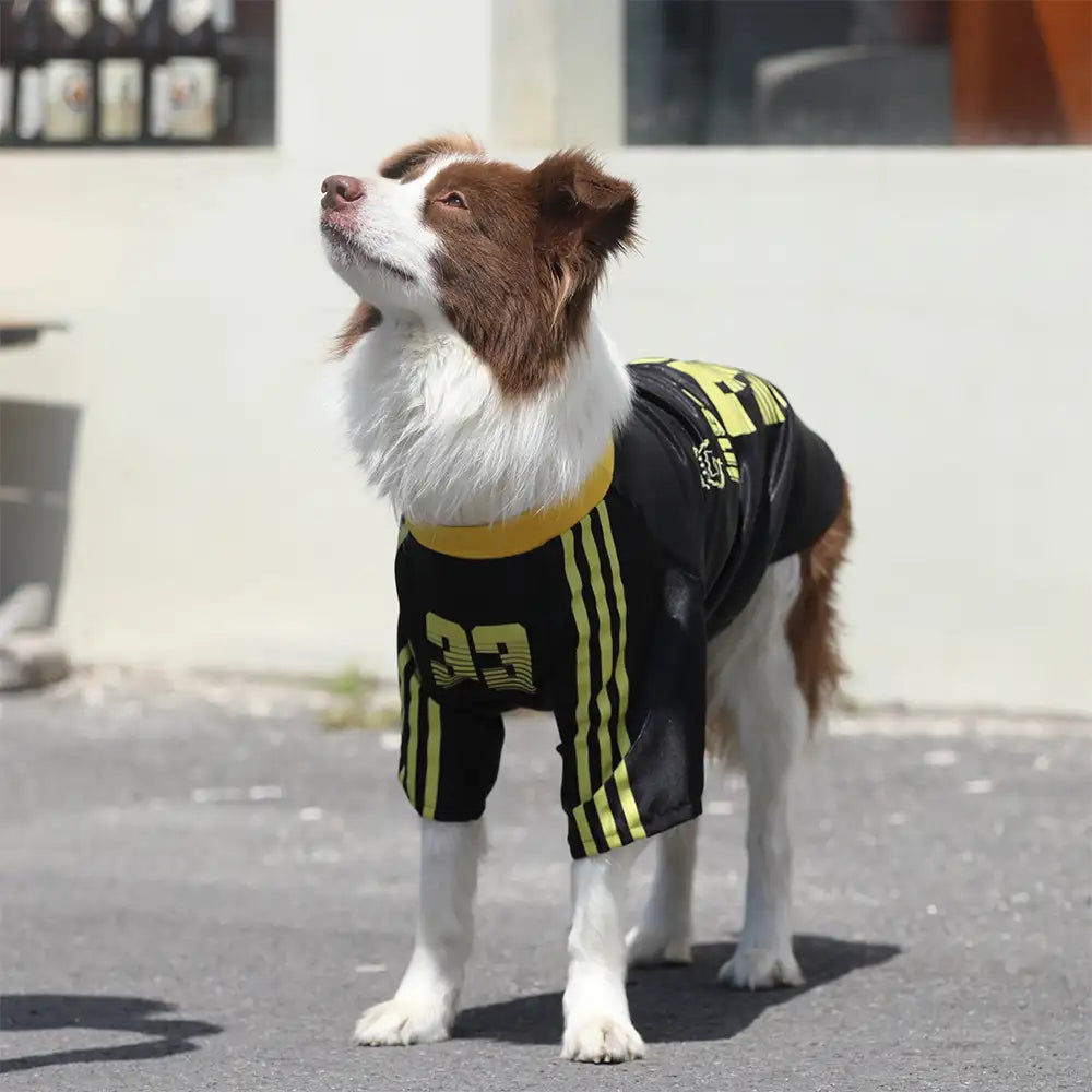 Striped Retro Reflective Dog T-Shirt for All Breeds