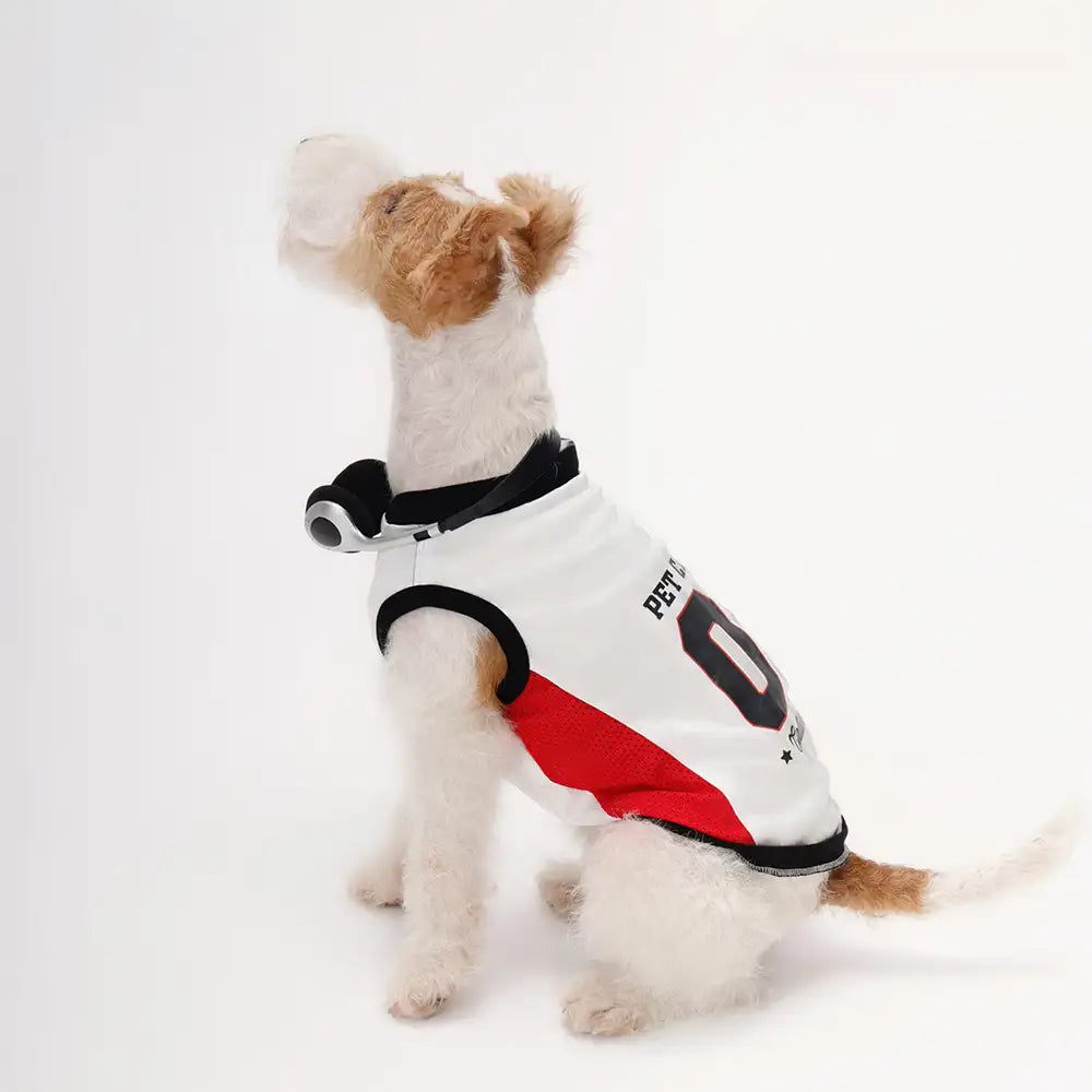 Stylish Color-Blocked Breathable Dog Vest