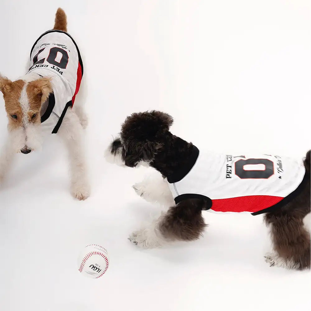 Stylish Color-Blocked Breathable Dog Vest