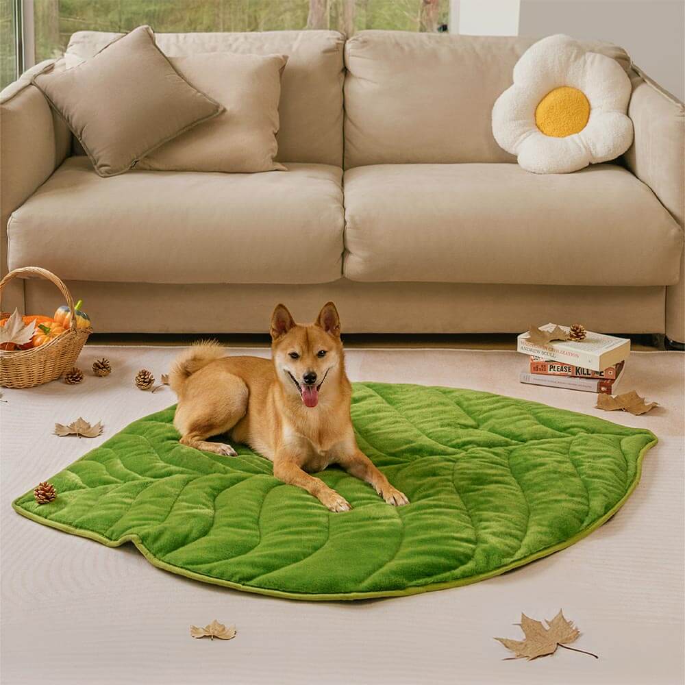 The Leaf Collector - Plush Leaf-Shaped Washable Dog Mat