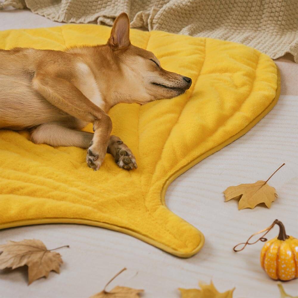 The Leaf Collector - Plush Leaf-Shaped Washable Dog Mat