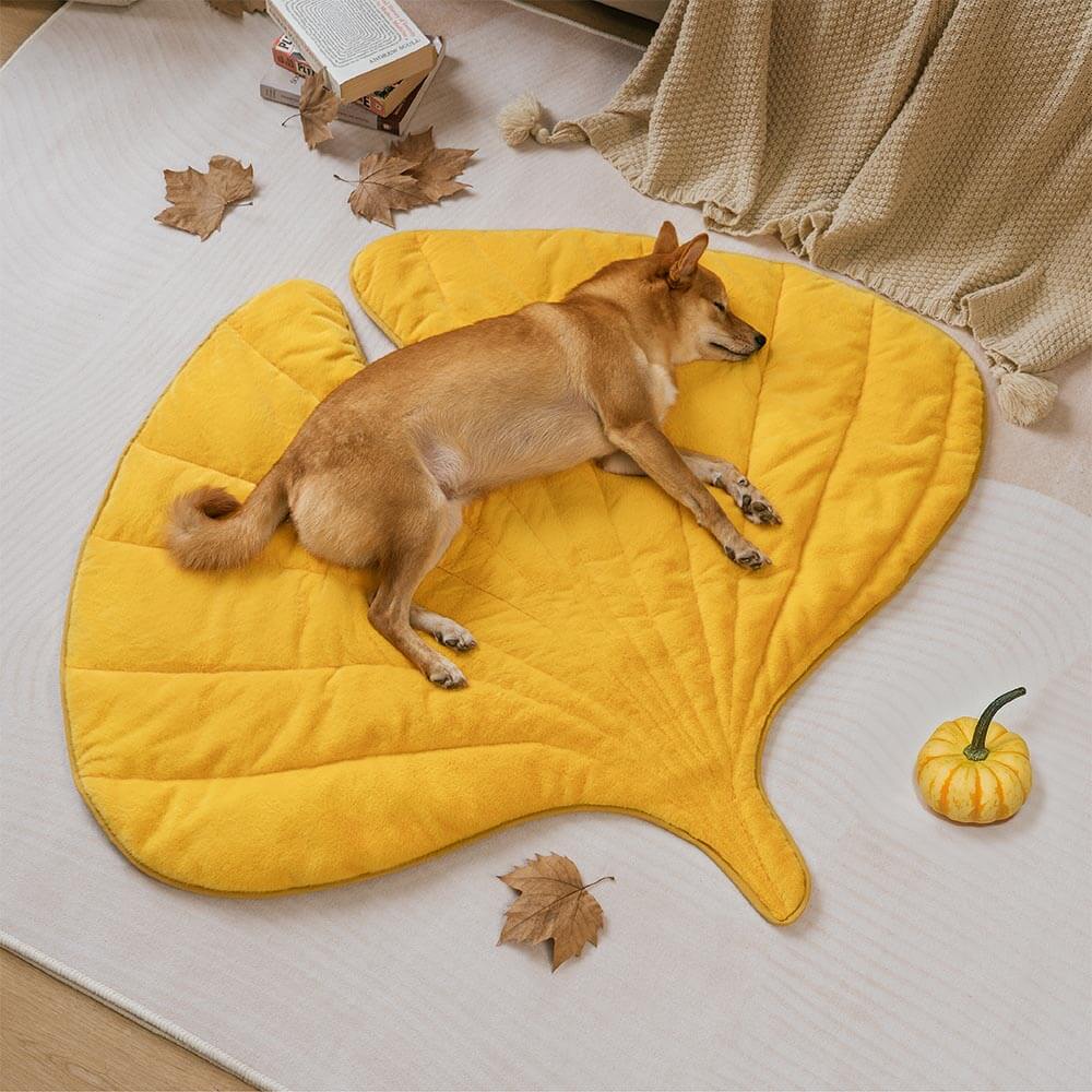 The Leaf Collector - Plush Leaf-Shaped Washable Dog Mat