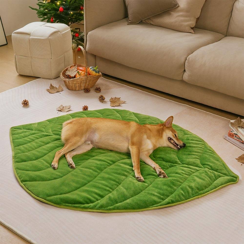 The Leaf Collector - Plush Leaf-Shaped Washable Dog Mat