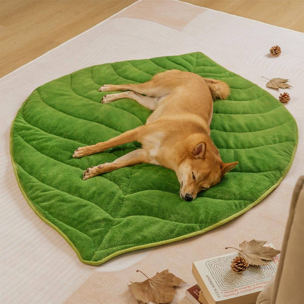 The Leaf Collector - Plush Leaf-Shaped Washable Dog Mat