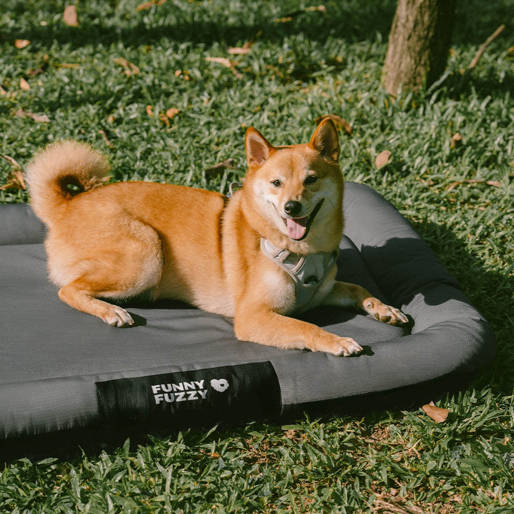 Outdoor Waterproof & Scratch-Resistant Colour-blocked Orthopaedic Dog Mat - Trek Lounge