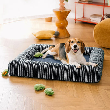 Orthopedic All-season Memory Foam Bolster Boucle Dog Bed - Funnyfuzzy SnugNest