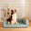 Ultimate Lounger Full Support Comfortable Orthopaedic Dog Sofa Bed