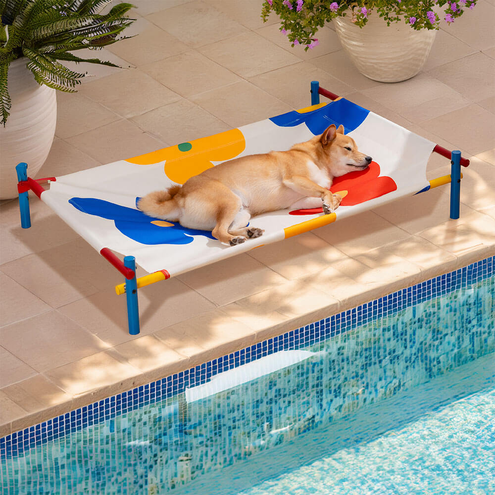 Vibrant Summer Print Style Aluminium Elevated Dog Bed - Summer Paradise