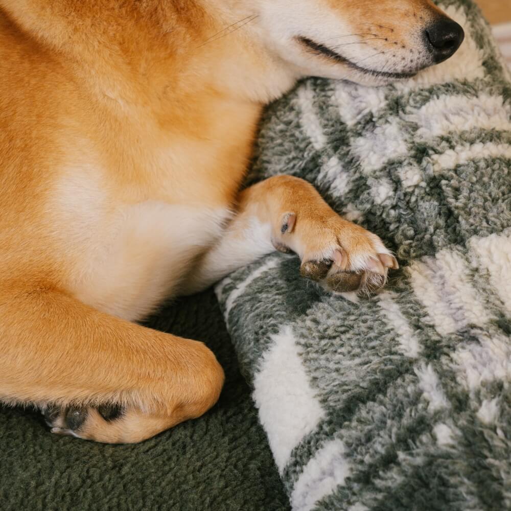 Vintage Chequered Washable Calming Dog & Cat Sofa Bed