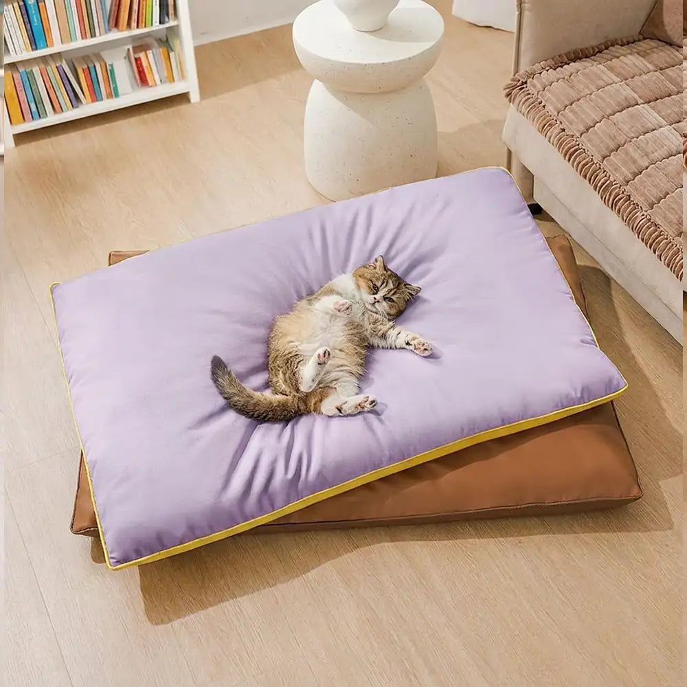 Water-Repellent Scratch-Resistant Double-Sided Washable Dog Mat